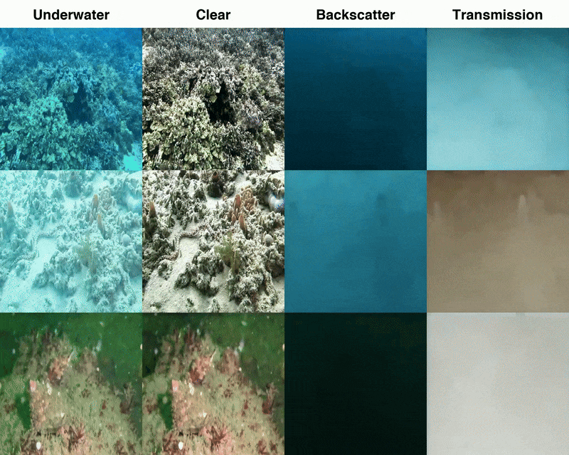 Animated underwater image restoration results showing underwater input, clear output, backscatter, and transmission across scenes.